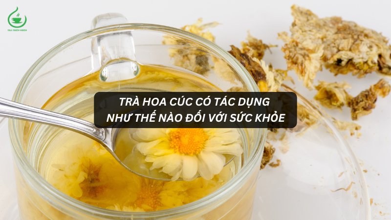 Trà hoa cúc có tác dụng như thế nào