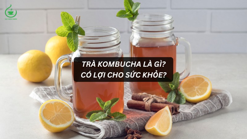 Trà Kombucha là gì