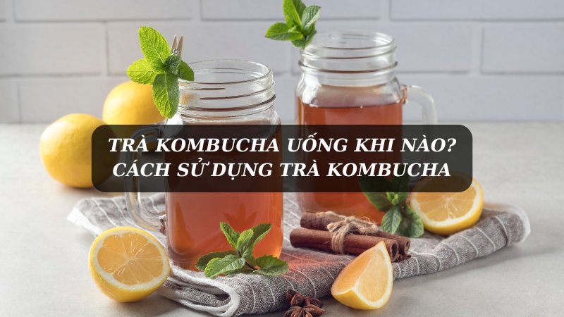 Trà Kombucha Uống Khi Nào