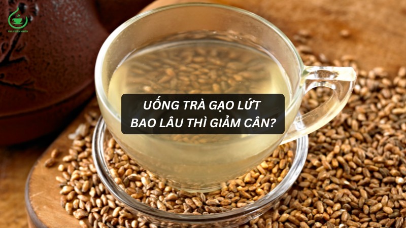 Uống trà gạo lứt bao lâu thì giảm cân