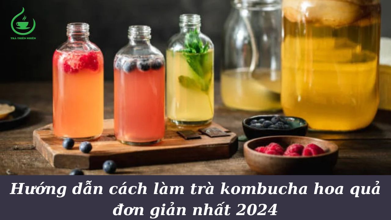 trà kombucha hoa quả