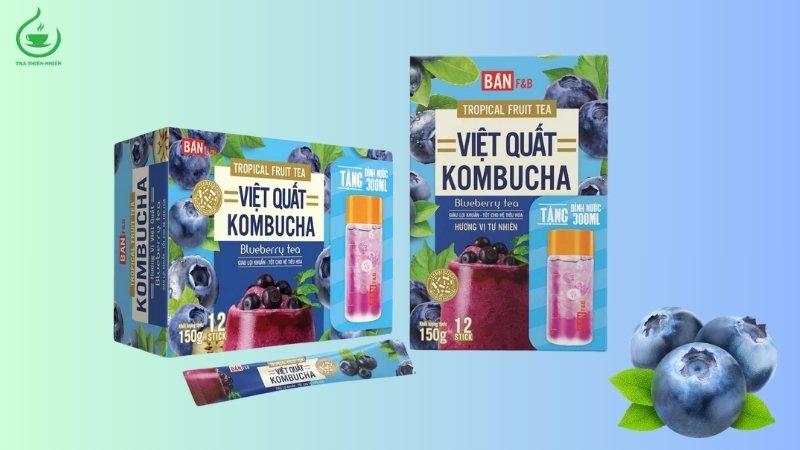 Công dụng của trà kombucha việt quất