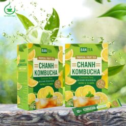 Trà kombucha chanh