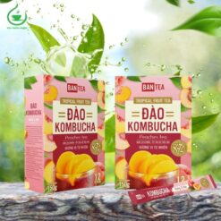 Trà kombucha đào