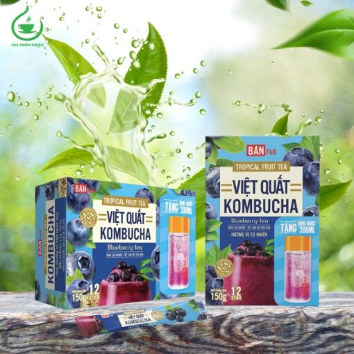 Trà kombucha việt quất