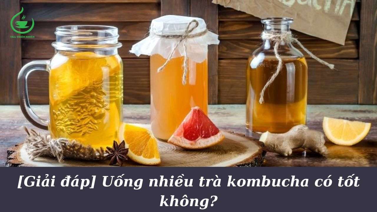 uống nhiều trà kombucha có tốt không