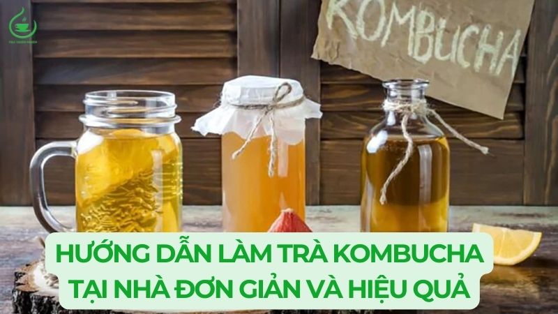 Tra kombucha hieu qua tai nha