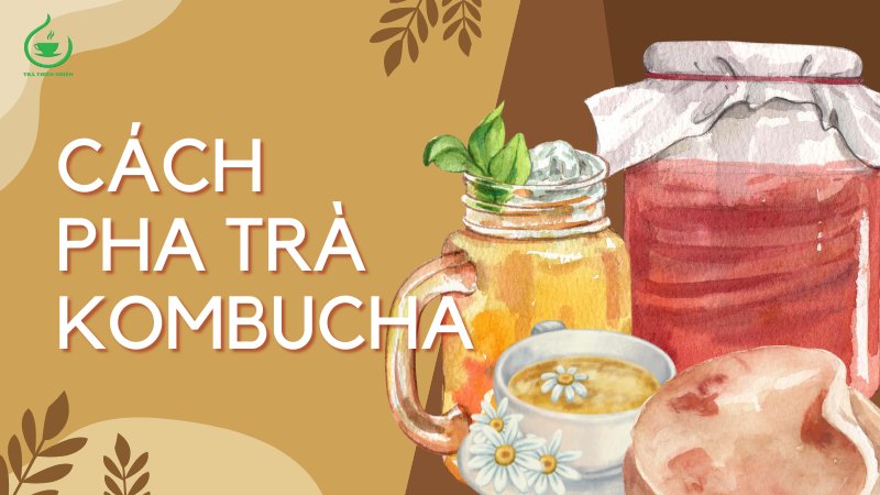 Cách pha trà Kombucha đúng cách