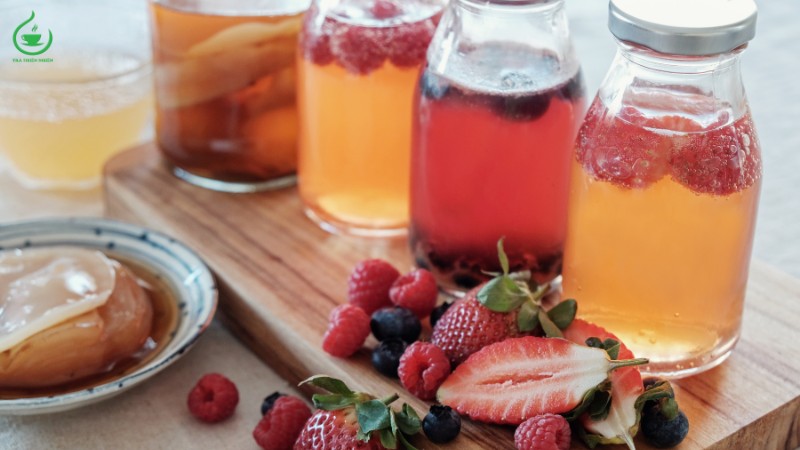 Hướng dẫn cách nuôi kombucha