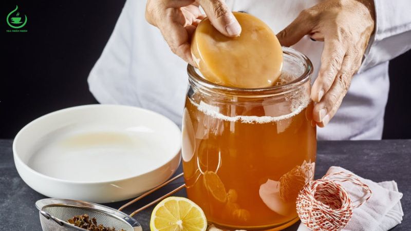 lưu ý làm trà kombucha tại nhà