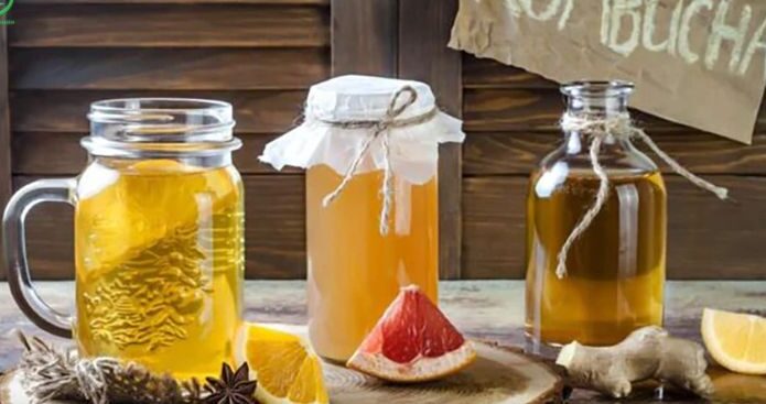 hướng dẫn pha trà kombucha tại nhà