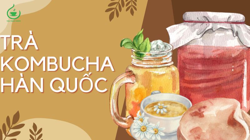 tra kombucha han quoc