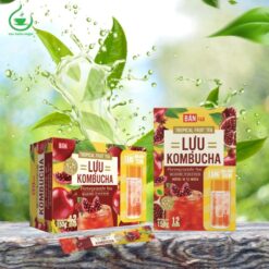 Trà kombucha lựu