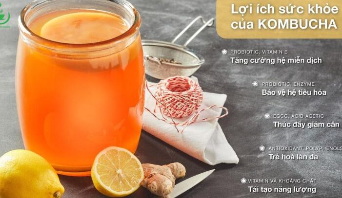 Lợi ích của trà Kombucha