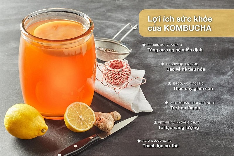 ban biet gi ve tra bat tu kombucha 19220231007152339