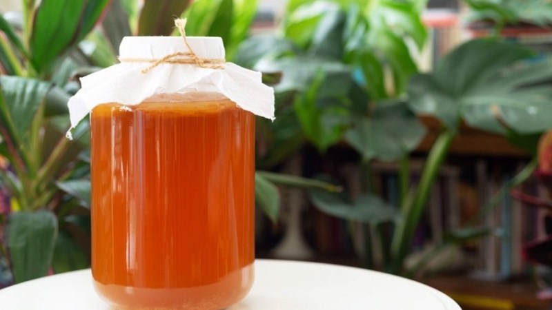 tra-kombucha-giam-can