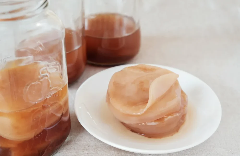 scoby-kombucha