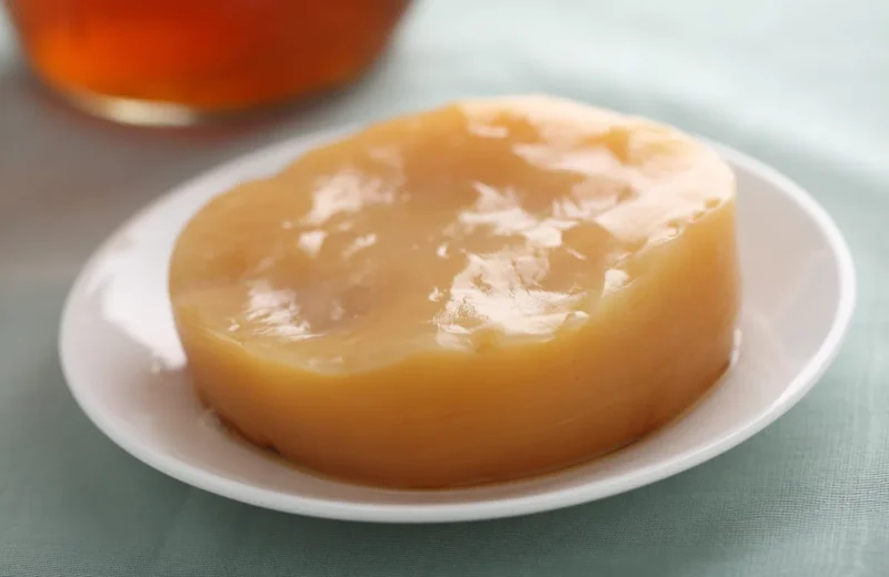 scoby-kombucha