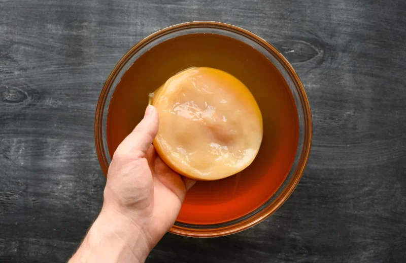 scoby-kombucha