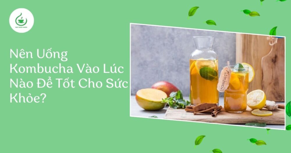 nên uống kombucha vào lúc nào