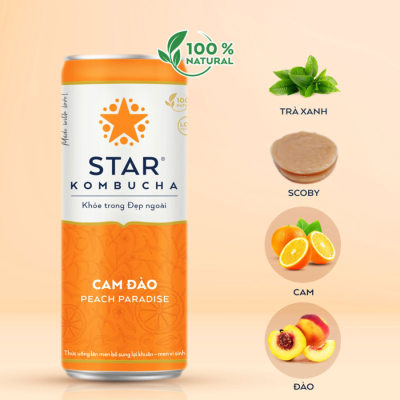 Trà Kombucha star