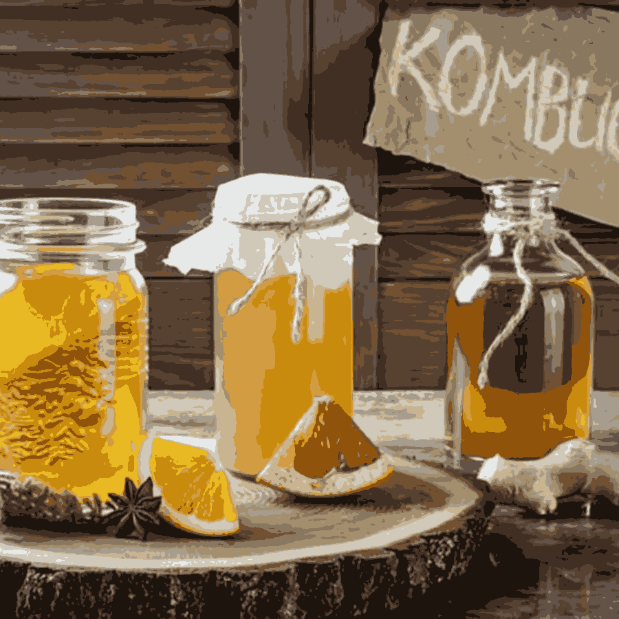 trà kombucha đóng chai