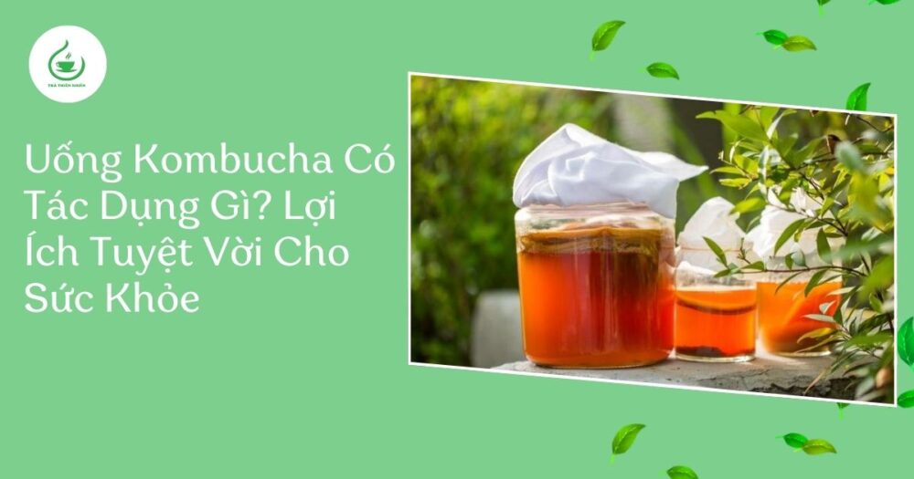 Uống Kombucha có tác dụng gì