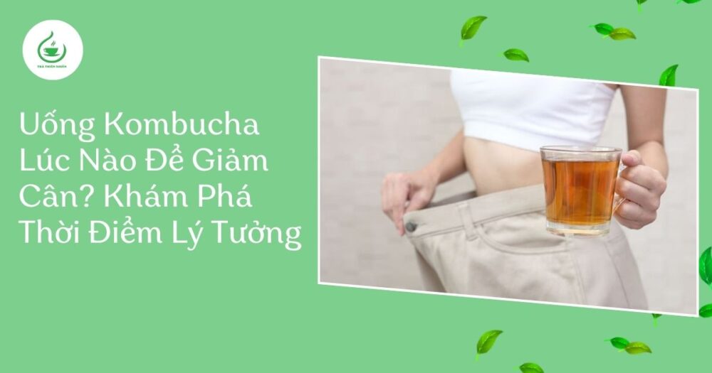 Uống kombucha lúc nào để giảm cân