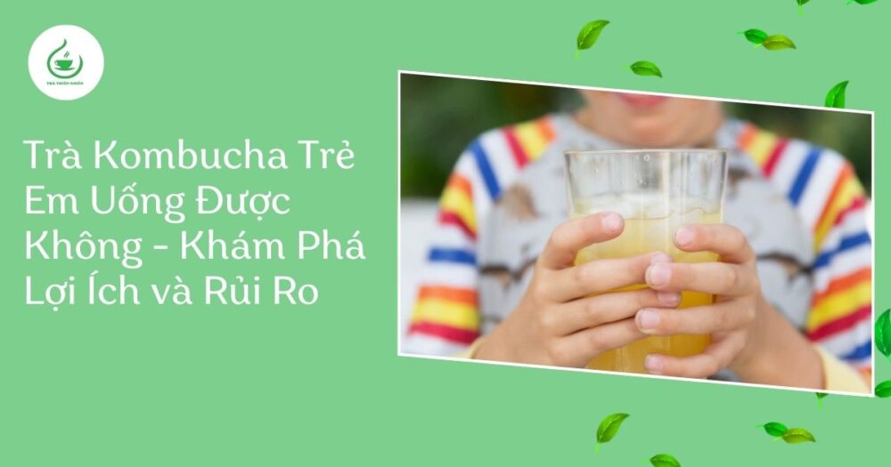 trà kombucha trẻ em uống được không